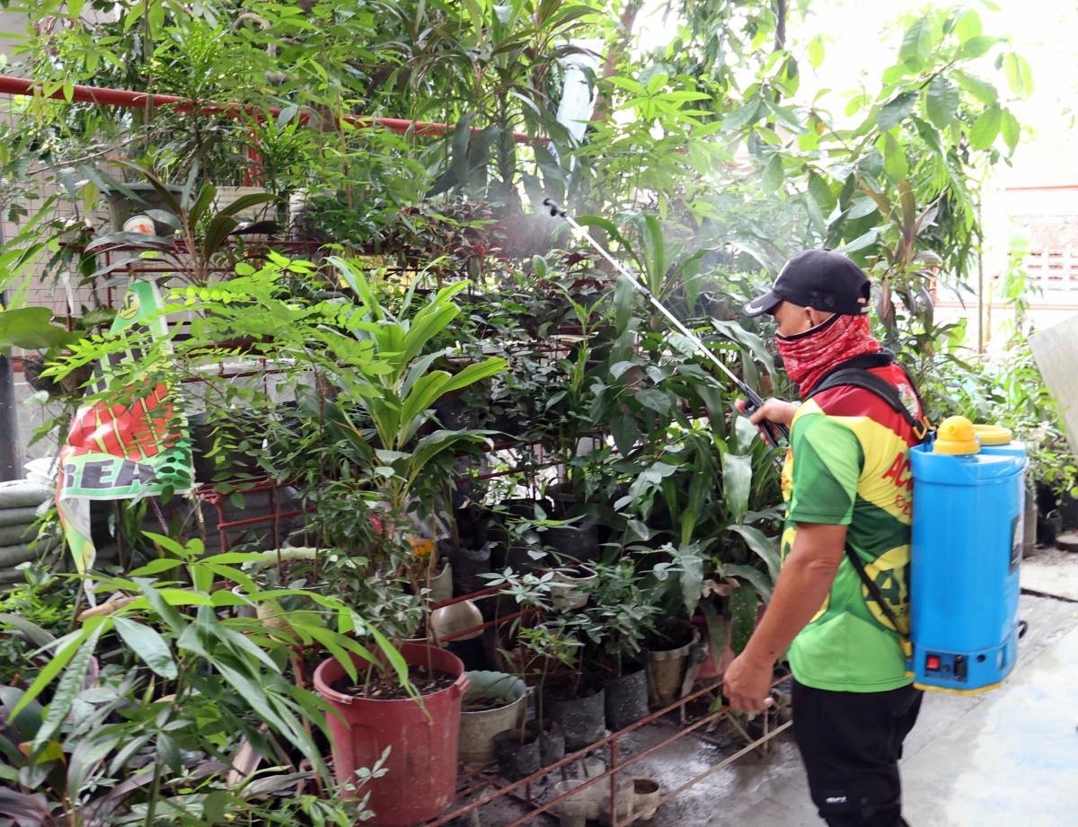 QC boosts drive vs dengue, leptospirosis amid 5 deaths - Pinas Times