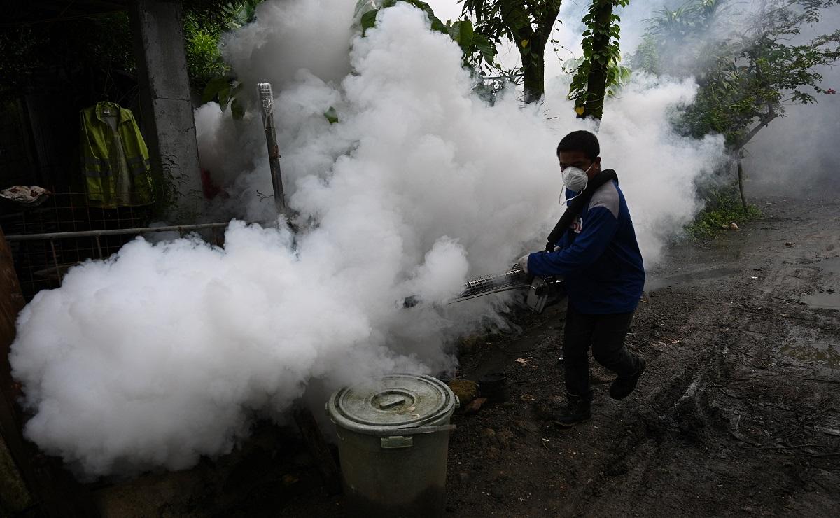 Brazilian city begins first mass vaccination against dengue - Pinas Times