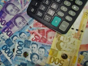 What Are Unprogrammed Funds in the National Budget? - Pinas Times