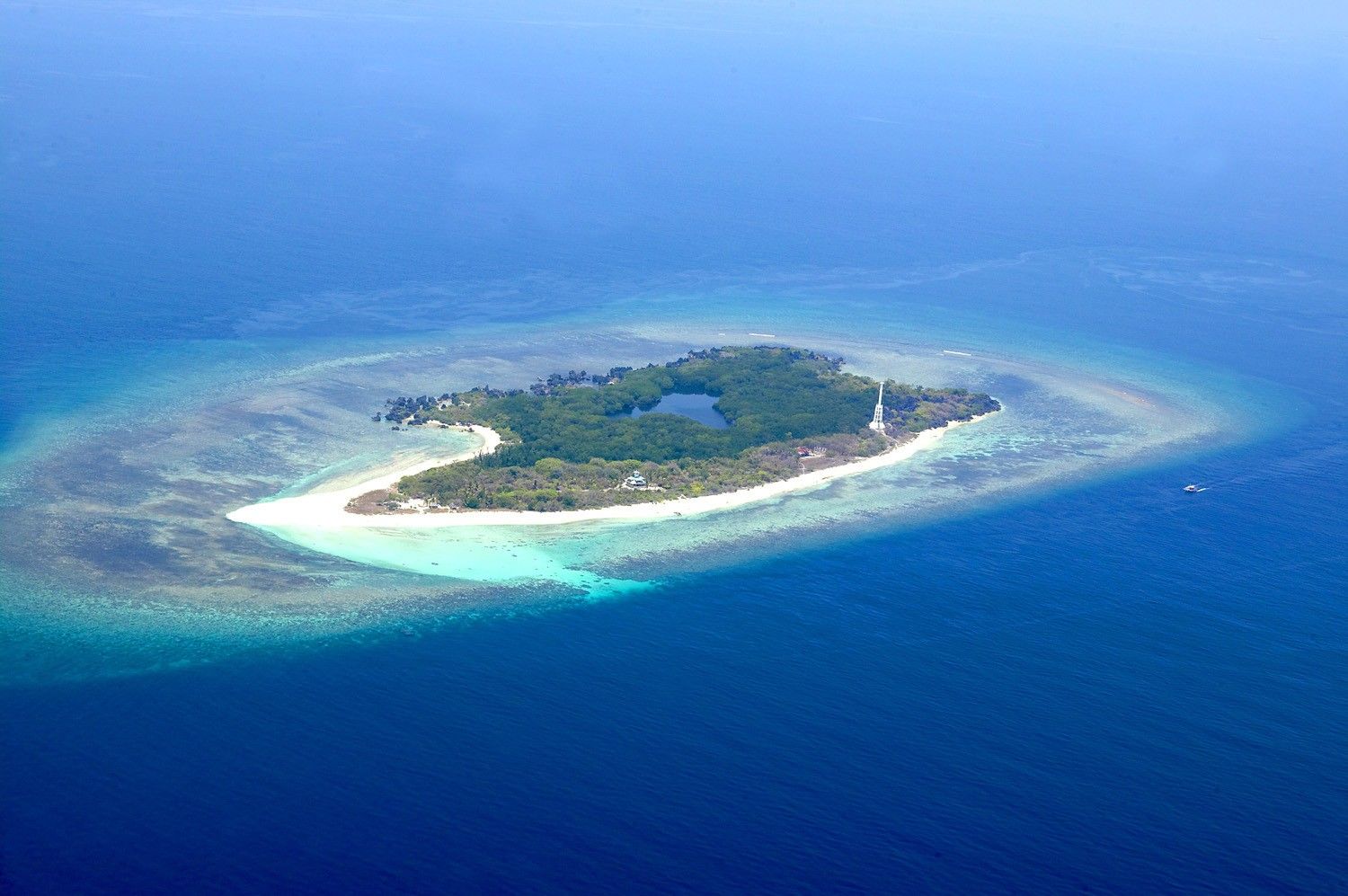 Philippines' Apo Reef and Turtle Islands Named ASEAN Parks